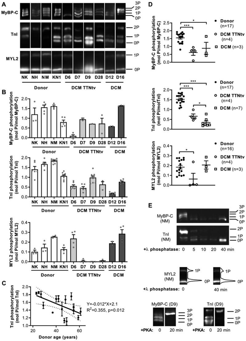 https://cdn.ncbi.nlm.nih.gov/pmc/blobs/8cb6/8752363/b45adfd56d59/cvaa316f1.jpg