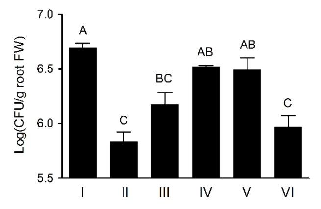 https://cdn.ncbi.nlm.nih.gov/pmc/blobs/8cb9/7023479/5c0521a7a9dd/microorganisms-08-00071-g005.jpg