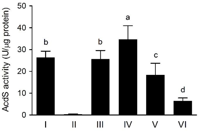 https://cdn.ncbi.nlm.nih.gov/pmc/blobs/8cb9/7023479/de229e8a9cb4/microorganisms-08-00071-g002.jpg