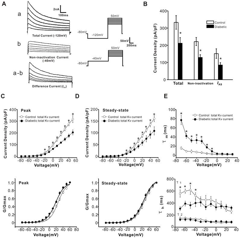 https://cdn.ncbi.nlm.nih.gov/pmc/blobs/8cbf/3382466/a6b51429bc39/pone.0039647.g005.jpg