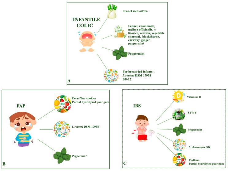 https://cdn.ncbi.nlm.nih.gov/pmc/blobs/8cc3/10856962/c03be550541b/nutrients-16-00349-g001.jpg