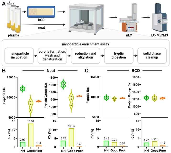 https://cdn.ncbi.nlm.nih.gov/pmc/blobs/8cc3/11504527/db209e454485/biomedicines-12-02318-g001.jpg