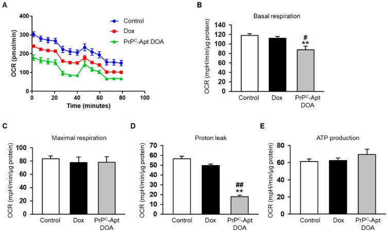 https://cdn.ncbi.nlm.nih.gov/pmc/blobs/8cc3/7922473/0dec3f1e97ce/ijms-22-01976-g005.jpg