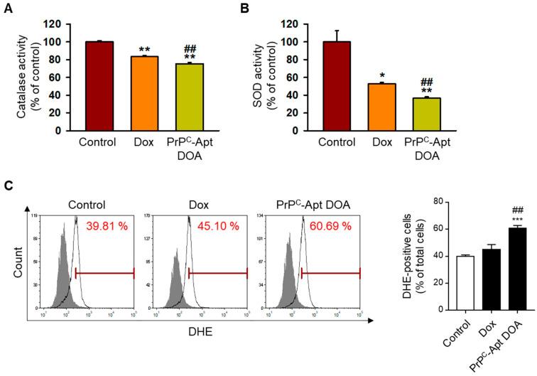 https://cdn.ncbi.nlm.nih.gov/pmc/blobs/8cc3/7922473/10b07af5dd98/ijms-22-01976-g003.jpg