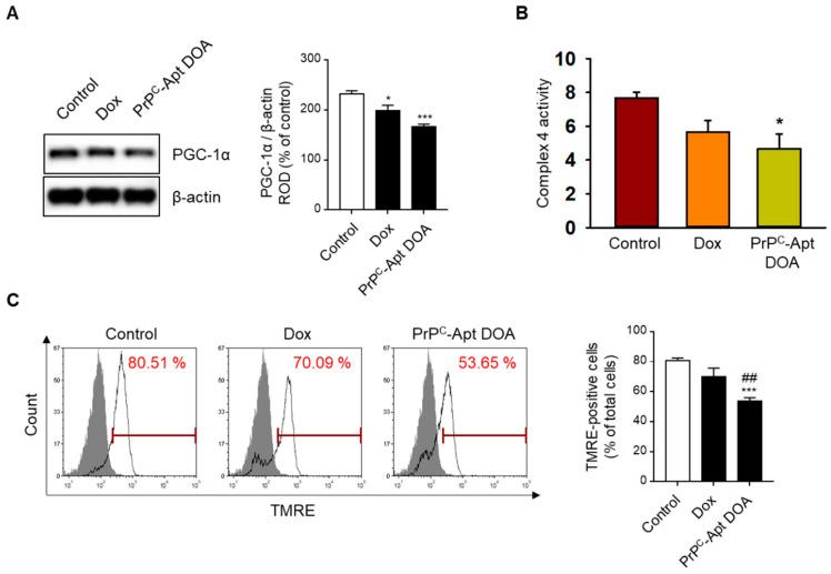 https://cdn.ncbi.nlm.nih.gov/pmc/blobs/8cc3/7922473/659331c85df2/ijms-22-01976-g004.jpg