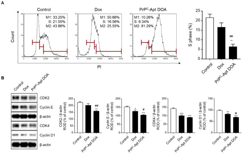 https://cdn.ncbi.nlm.nih.gov/pmc/blobs/8cc3/7922473/e7a0785c4b75/ijms-22-01976-g006.jpg