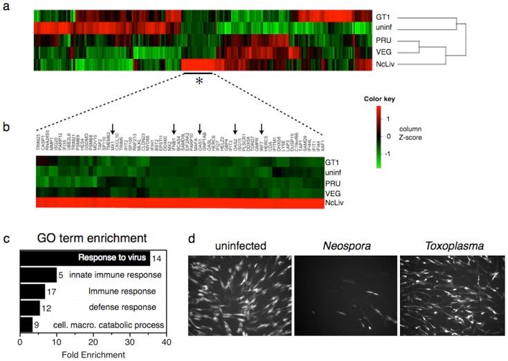 https://cdn.ncbi.nlm.nih.gov/pmc/blobs/8cc4/3914978/e341883e3a41/pone.0088398.g001.jpg