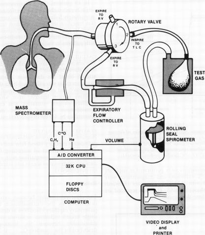 https://cdn.ncbi.nlm.nih.gov/pmc/blobs/8cc4/459735/120d9d817af9/thorax00218-0029-a.jpg
