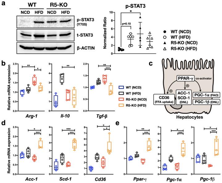 https://cdn.ncbi.nlm.nih.gov/pmc/blobs/8cc8/9656569/76a5a933cc38/ijms-23-13048-g003.jpg
