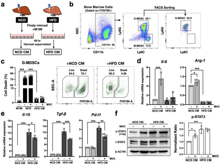 https://cdn.ncbi.nlm.nih.gov/pmc/blobs/8cc8/9656569/9171926f0561/ijms-23-13048-g004.jpg