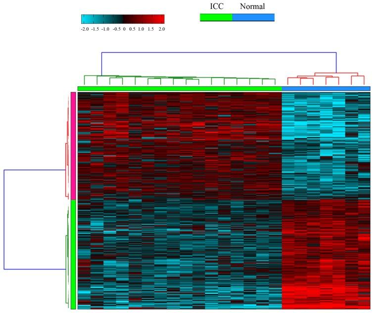 https://cdn.ncbi.nlm.nih.gov/pmc/blobs/8cc9/5367350/8139a69ee41f/MMR-15-03-1051-g00.jpg