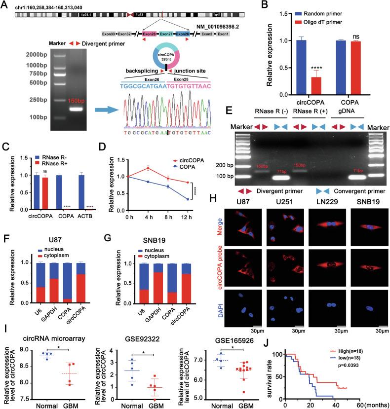https://cdn.ncbi.nlm.nih.gov/pmc/blobs/8cca/11345445/47bcef8f604f/41419_2024_7010_Fig2_HTML.jpg