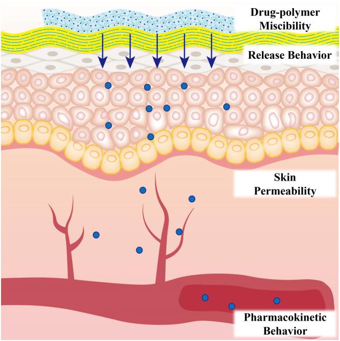 https://cdn.ncbi.nlm.nih.gov/pmc/blobs/8ccb/10999516/208791f71e8b/gr6.jpg