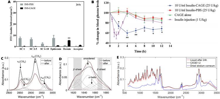 https://cdn.ncbi.nlm.nih.gov/pmc/blobs/8ccb/10999516/3cf4ff1db885/gr3.jpg