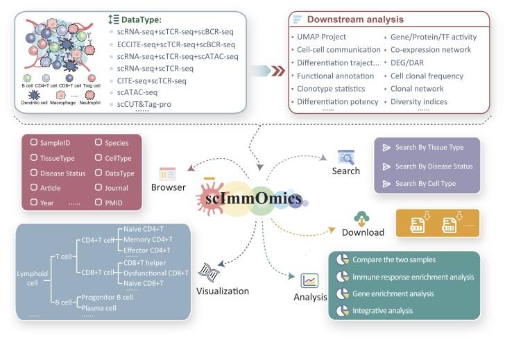 https://cdn.ncbi.nlm.nih.gov/pmc/blobs/8ccc/11701750/0ab85135118d/gkae985fig1.jpg