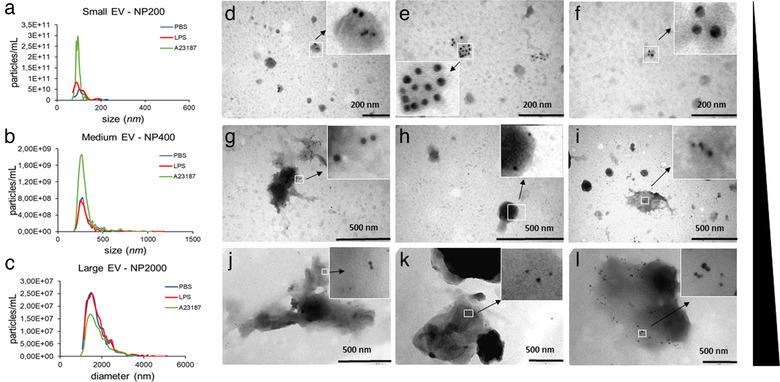 https://cdn.ncbi.nlm.nih.gov/pmc/blobs/8ccd/7890545/508af80ddd4a/JEV2-10-e12023-g003.jpg