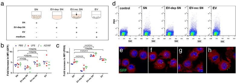 https://cdn.ncbi.nlm.nih.gov/pmc/blobs/8ccd/7890545/9ca7208cc3fa/JEV2-10-e12023-g005.jpg