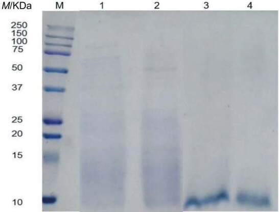 https://cdn.ncbi.nlm.nih.gov/pmc/blobs/8cce/10775781/32b1d380dc5b/FTB-61-523-f6.jpg
