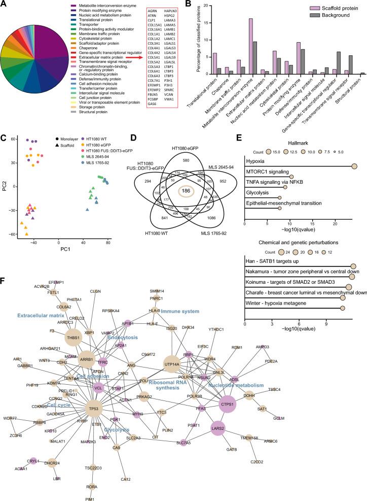 https://cdn.ncbi.nlm.nih.gov/pmc/blobs/8ccf/11046918/819e02170436/12967_2024_5211_Fig2_HTML.jpg