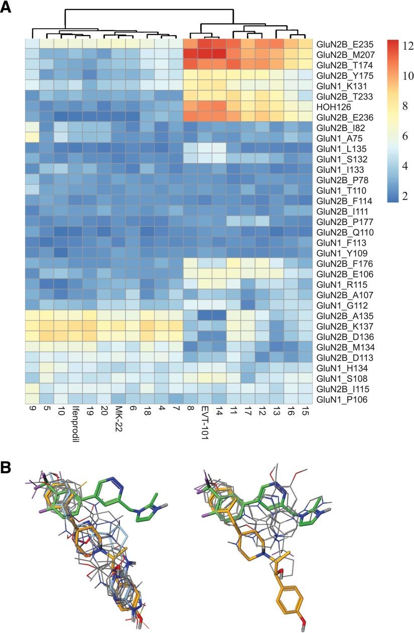 https://cdn.ncbi.nlm.nih.gov/pmc/blobs/8cd0/4859819/017c8db04c4f/mol.115.103036f4.jpg