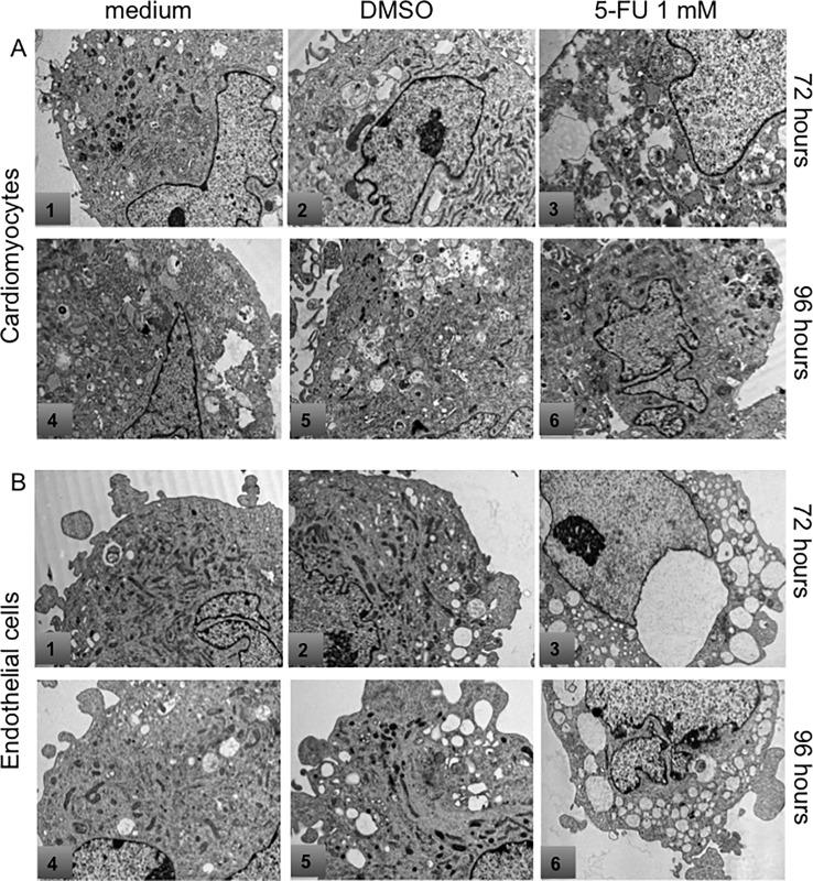 https://cdn.ncbi.nlm.nih.gov/pmc/blobs/8cd1/4324934/ae57635b8533/pone.0115686.g003.jpg