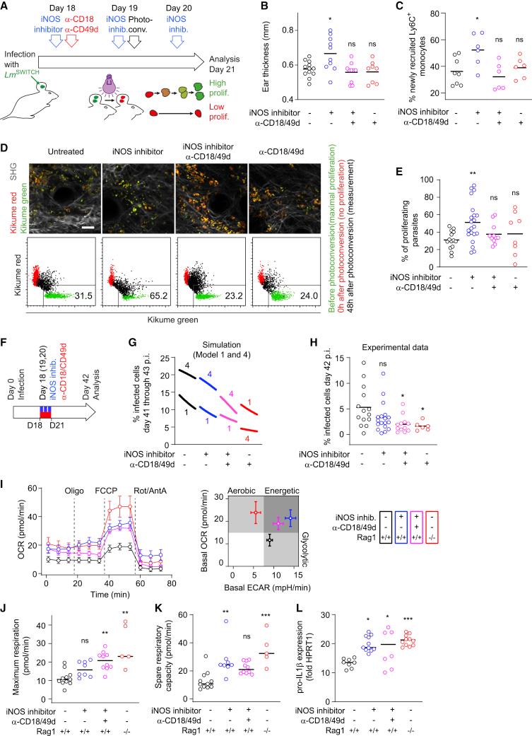 https://cdn.ncbi.nlm.nih.gov/pmc/blobs/8cd2/8691385/ab7608ac4dfd/gr6.jpg