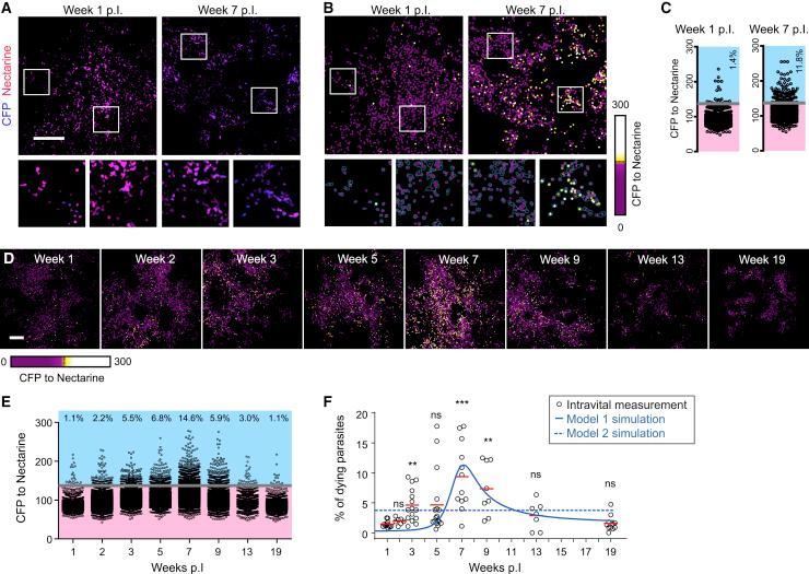 https://cdn.ncbi.nlm.nih.gov/pmc/blobs/8cd2/8691385/fe5b0b7112e1/gr3.jpg