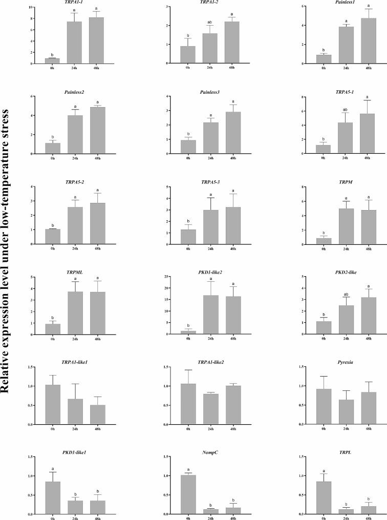 https://cdn.ncbi.nlm.nih.gov/pmc/blobs/8cd3/10795286/2d40da5c33f3/12864_2024_9973_Fig5_HTML.jpg