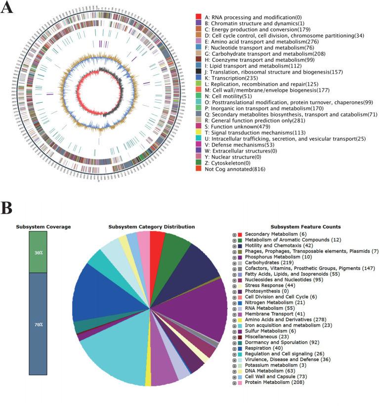 https://cdn.ncbi.nlm.nih.gov/pmc/blobs/8cd4/12206857/c1d28dab2d33/fmicb-16-1599452-g002.jpg