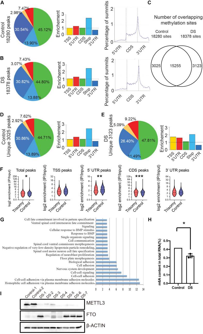 https://cdn.ncbi.nlm.nih.gov/pmc/blobs/8cd4/8047211/d325c40c9f6a/fcell-09-621374-g001.jpg