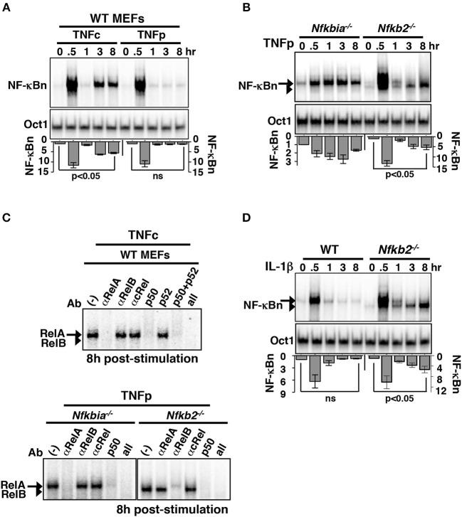 https://cdn.ncbi.nlm.nih.gov/pmc/blobs/8cd5/6514058/316db9127614/fimmu-10-00997-g0002.jpg