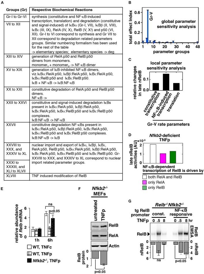 https://cdn.ncbi.nlm.nih.gov/pmc/blobs/8cd5/6514058/40f150e5610d/fimmu-10-00997-g0003.jpg