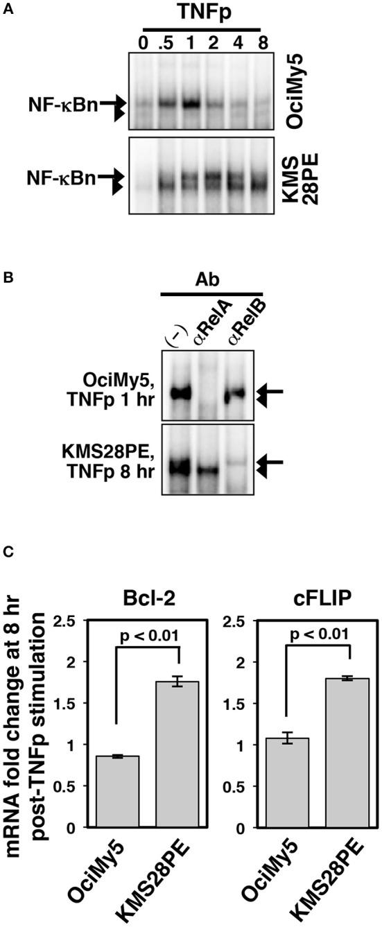 https://cdn.ncbi.nlm.nih.gov/pmc/blobs/8cd5/6514058/549de54ce474/fimmu-10-00997-g0008.jpg