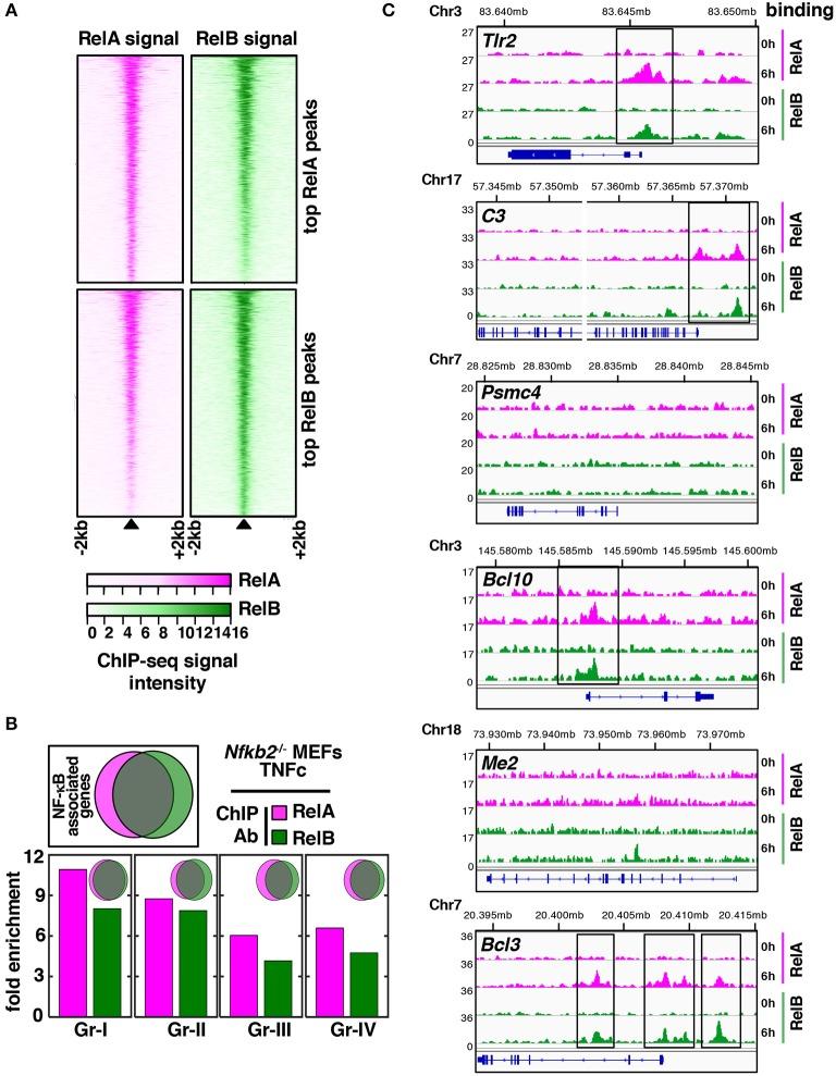 https://cdn.ncbi.nlm.nih.gov/pmc/blobs/8cd5/6514058/54e57a2d20f8/fimmu-10-00997-g0005.jpg