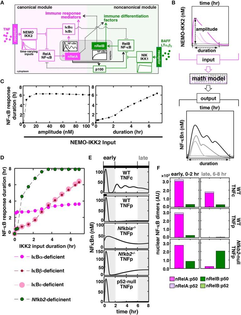 https://cdn.ncbi.nlm.nih.gov/pmc/blobs/8cd5/6514058/874fdcc3893f/fimmu-10-00997-g0001.jpg