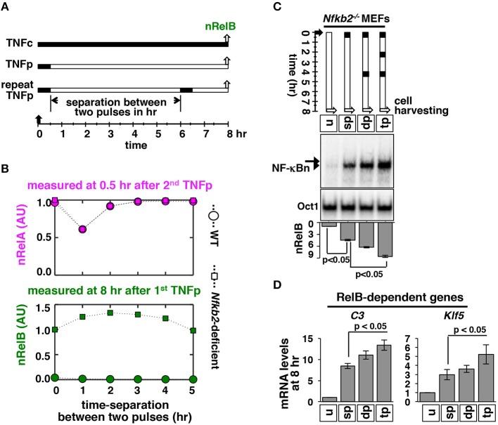 https://cdn.ncbi.nlm.nih.gov/pmc/blobs/8cd5/6514058/eb193439367f/fimmu-10-00997-g0007.jpg