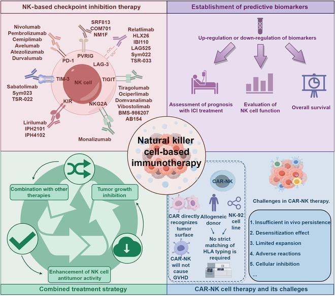 https://cdn.ncbi.nlm.nih.gov/pmc/blobs/8cd6/12131497/7a900505cc7a/research.0723.fig.004.jpg