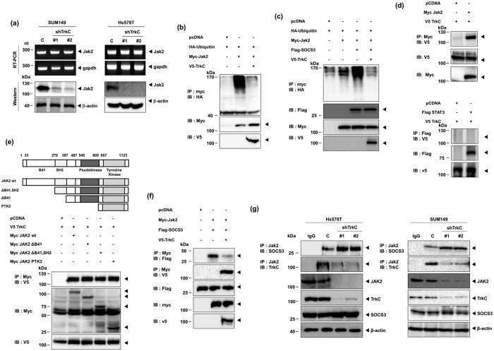 https://cdn.ncbi.nlm.nih.gov/pmc/blobs/8cd7/5032000/8b2b086ff3fb/srep33899-f3.jpg