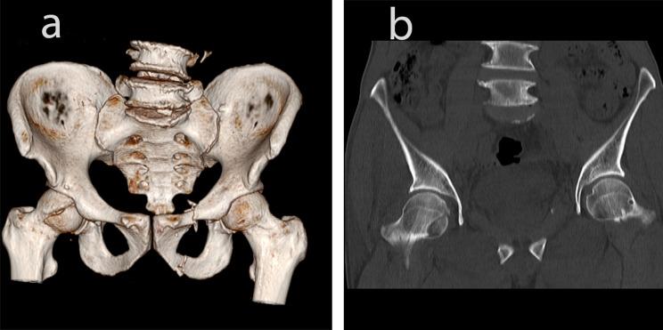 https://cdn.ncbi.nlm.nih.gov/pmc/blobs/8cd8/11792381/e069ed41dc61/12891_2025_8380_Fig2_HTML.jpg
