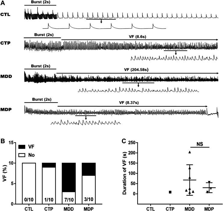 https://cdn.ncbi.nlm.nih.gov/pmc/blobs/8cd8/7775674/42dfcf6acd37/fphar-11-547966-g005.jpg