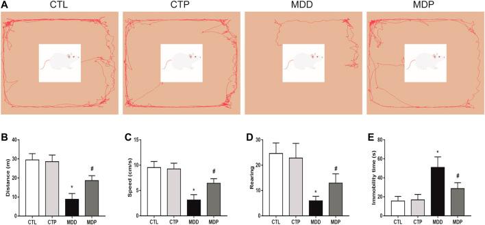 https://cdn.ncbi.nlm.nih.gov/pmc/blobs/8cd8/7775674/ac575c70eb5d/fphar-11-547966-g002.jpg