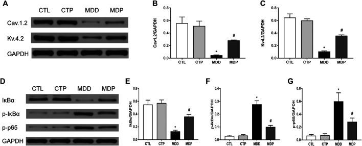 https://cdn.ncbi.nlm.nih.gov/pmc/blobs/8cd8/7775674/deadc23339c4/fphar-11-547966-g009.jpg