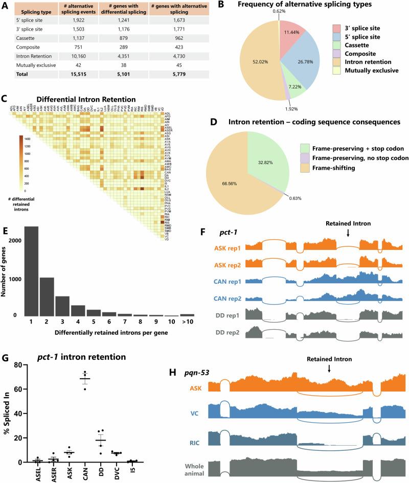 https://cdn.ncbi.nlm.nih.gov/pmc/blobs/8cd9/12084633/6aca8c011b47/41467_2025_58296_Fig2_HTML.jpg