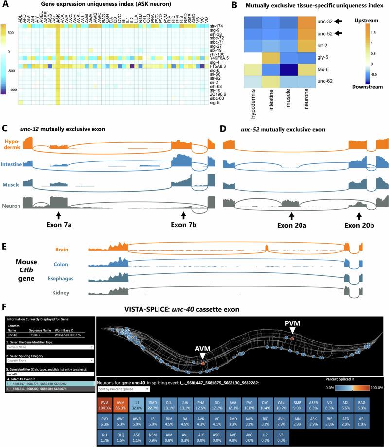 https://cdn.ncbi.nlm.nih.gov/pmc/blobs/8cd9/12084633/7c21e501919f/41467_2025_58296_Fig5_HTML.jpg