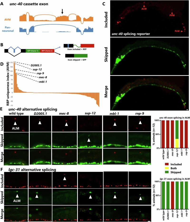 https://cdn.ncbi.nlm.nih.gov/pmc/blobs/8cd9/12084633/e33338c7232e/41467_2025_58296_Fig6_HTML.jpg