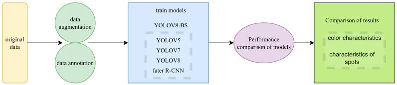https://cdn.ncbi.nlm.nih.gov/pmc/blobs/8cda/12348274/ebed1e3e2947/plants-14-02287-g001.jpg
