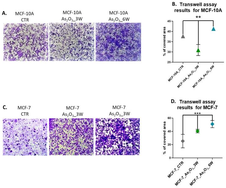 https://cdn.ncbi.nlm.nih.gov/pmc/blobs/8cdd/11090272/6a0e05ae985a/cm-97-184f3.jpg
