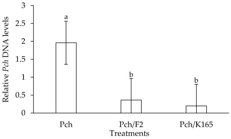 https://cdn.ncbi.nlm.nih.gov/pmc/blobs/8cdd/7911737/cd94a38709e7/plants-10-00207-g002.jpg