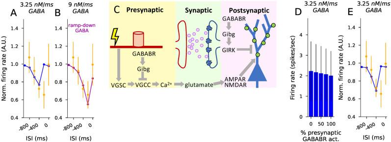 https://cdn.ncbi.nlm.nih.gov/pmc/blobs/8cdf/12410044/2b3439e5207e/jneuro-45-e0544252025-g005.jpg
