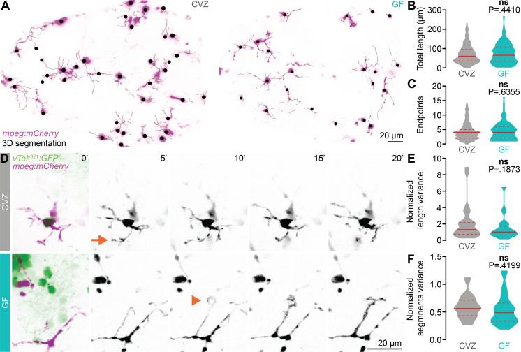 https://cdn.ncbi.nlm.nih.gov/pmc/blobs/8ce4/9624426/ec34ba2f1ef8/pbio.3001838.g005.jpg
